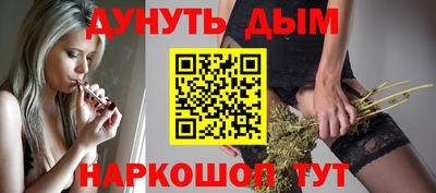 крисы Брянск