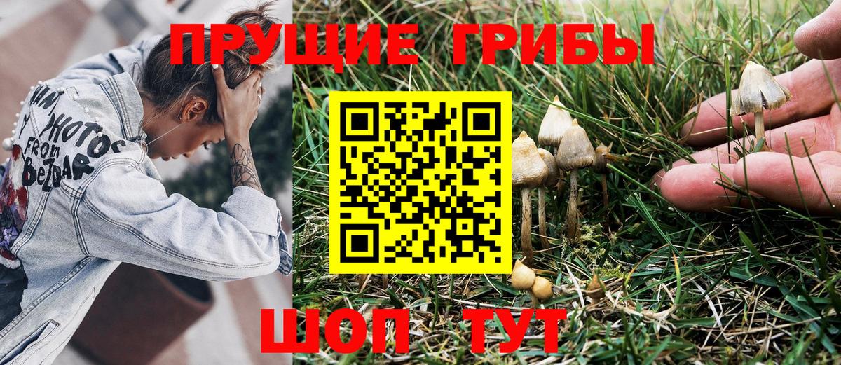 Псилоцибиновые грибы Psilocybine cubensis Воткинск