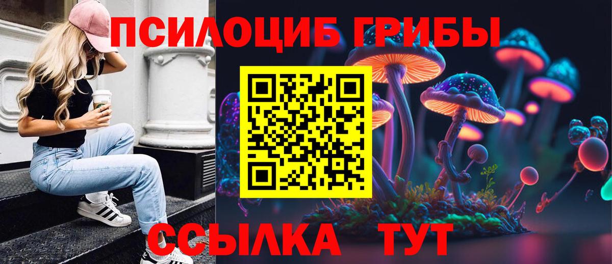 Псилоцибиновые грибы GOLDEN TEACHER  Галлюциногенные грибы мухоморы  Воткинск  Вход с VPN 